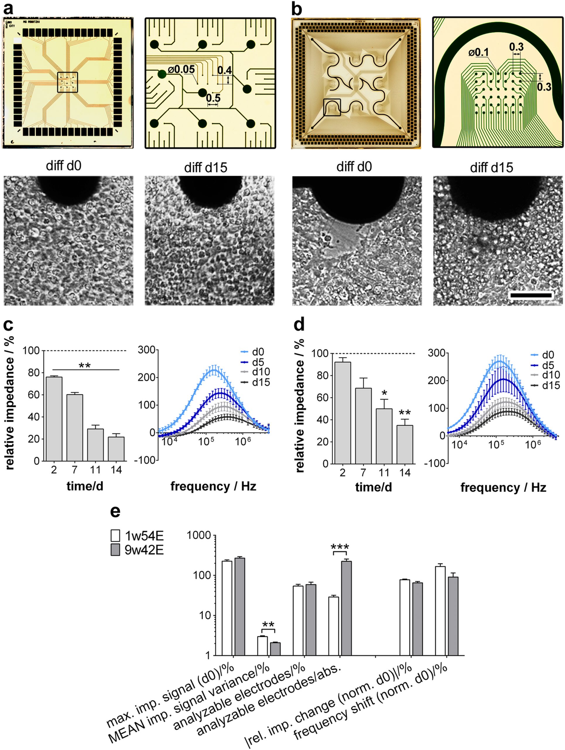 Impedimetric real-time monitoring of neural pluripotent stem cell differentiation process on microelectrode arrays